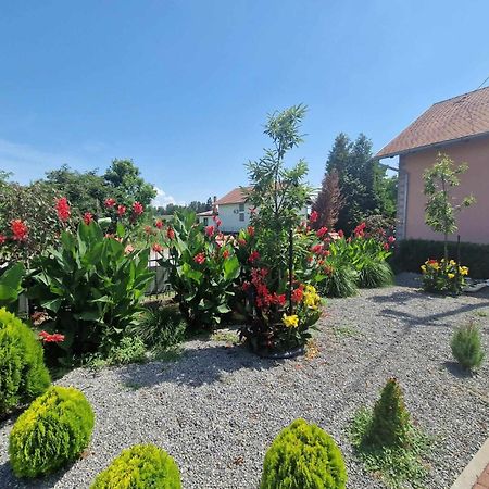 B&B Majhen Kopacevo Екстер'єр фото