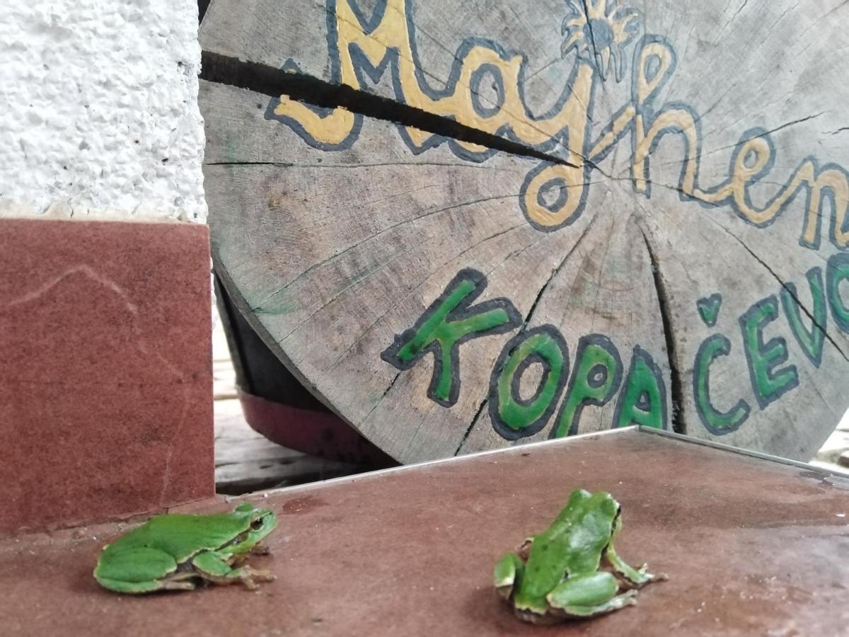B&B Majhen Kopacevo Екстер'єр фото