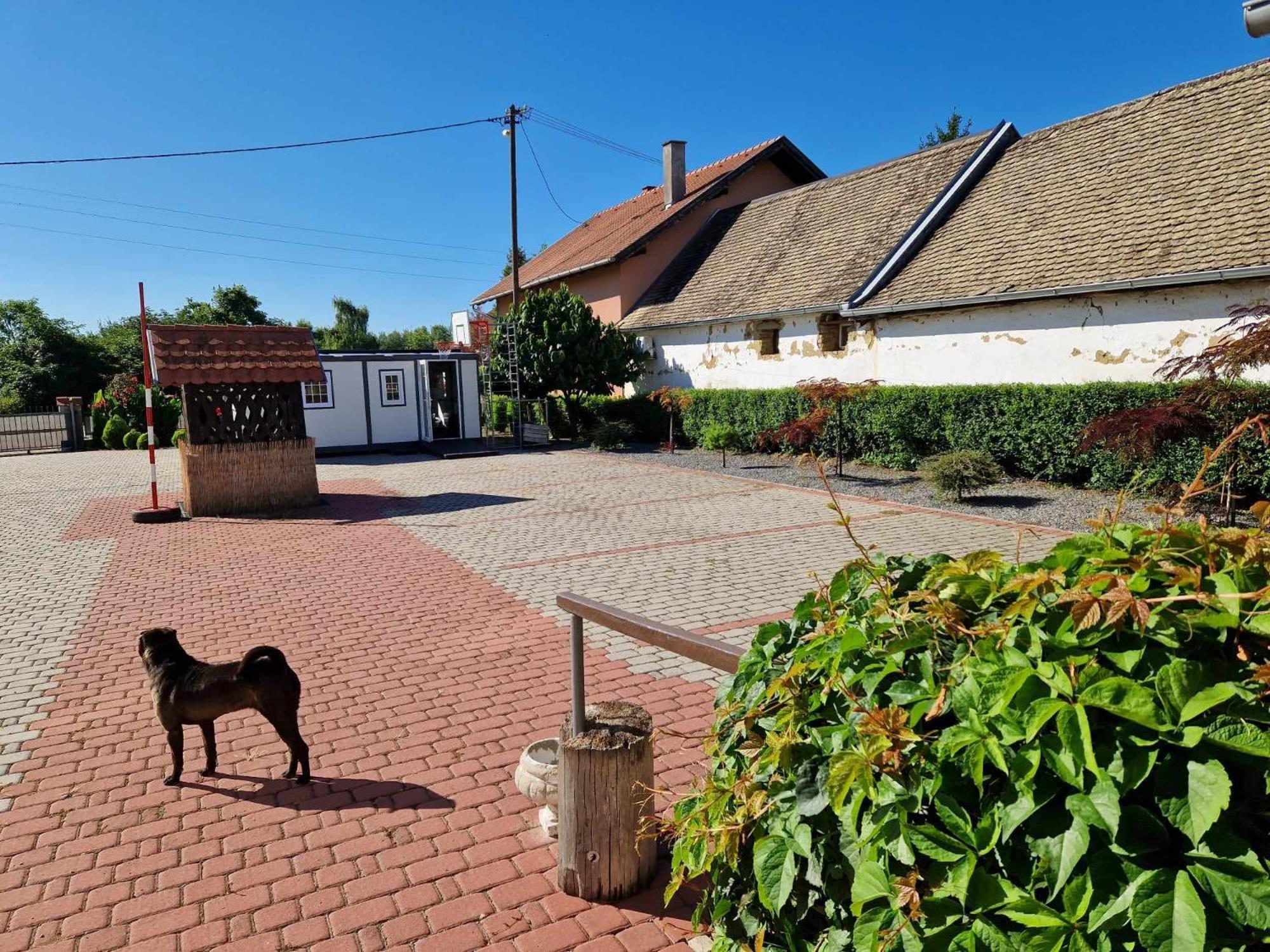 B&B Majhen Kopacevo Екстер'єр фото