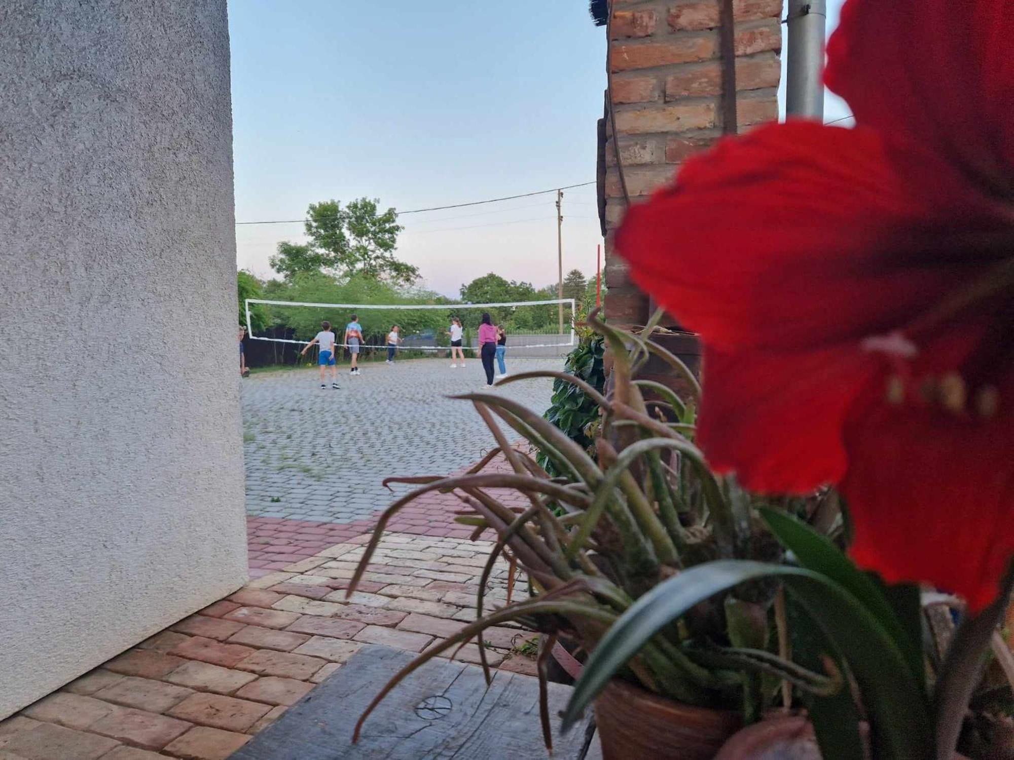 B&B Majhen Kopacevo Екстер'єр фото